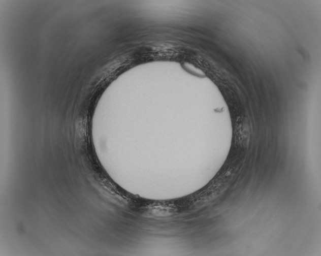 X0000110680756200907101127