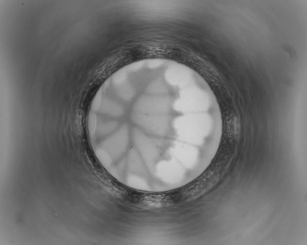 X0000110680757200907101127