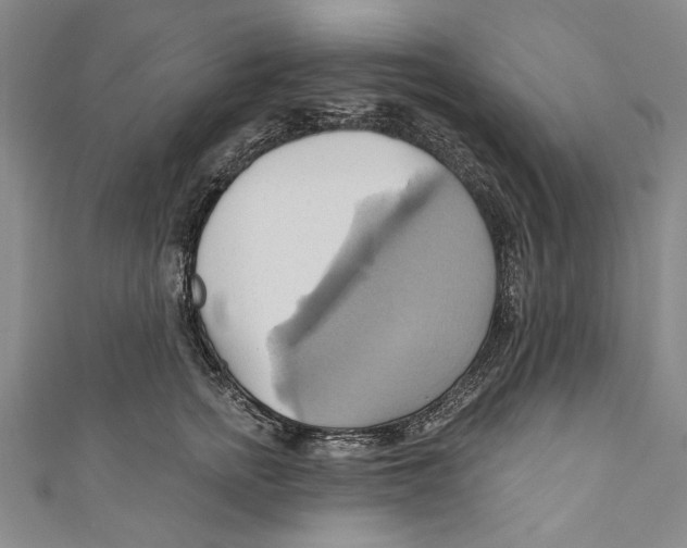 X0000110680758200907101127
