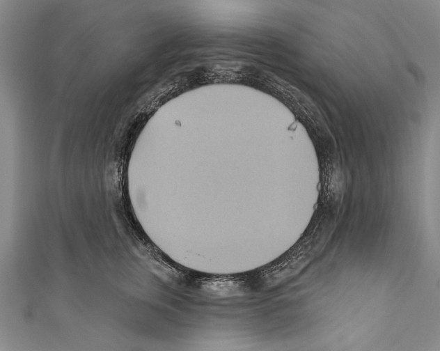 X0000110680759200907101127