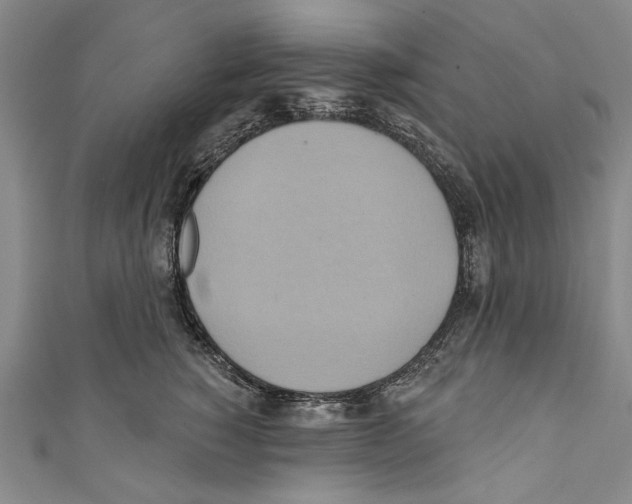 X0000110680760200907101127
