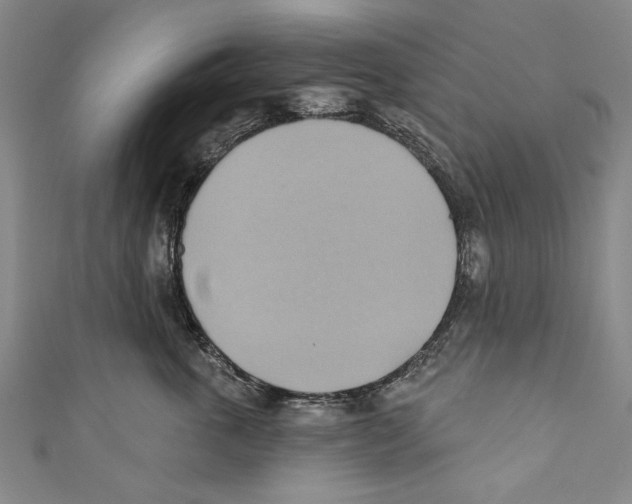 X0000110680763200907101127