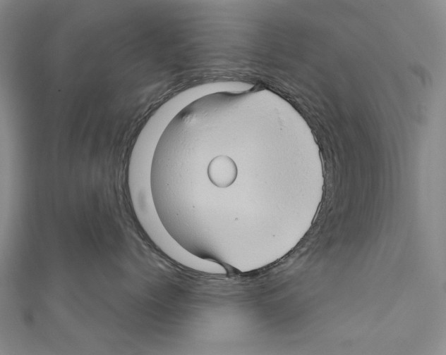 X0000110680768200907101127