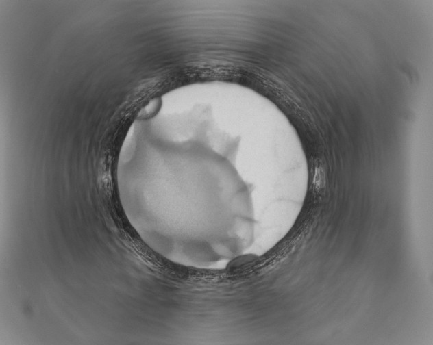 X0000110680771200907101126