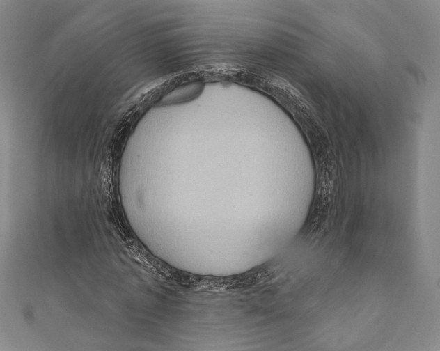 X0000110680773200907101126