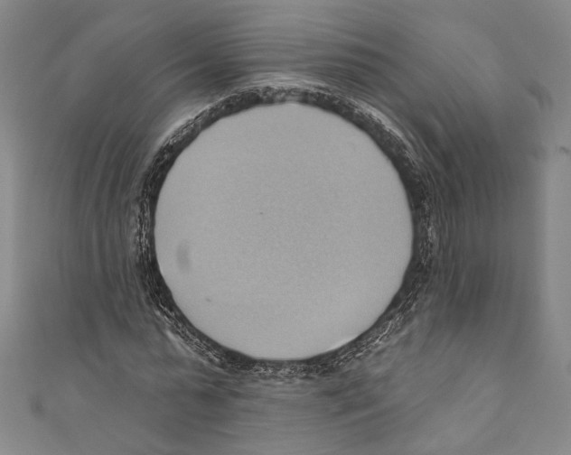 X0000110680775200907101126