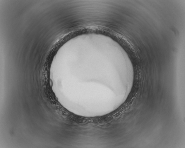 X0000110680776200907101126