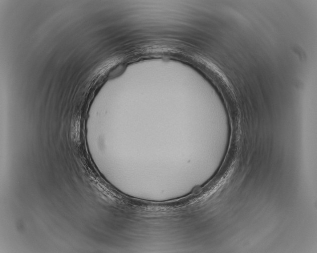 X0000110680777200907101126
