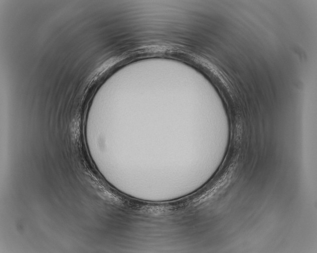 X0000110680778200907101126