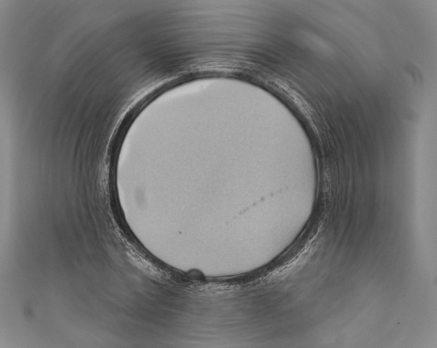 X0000110680779200907101126