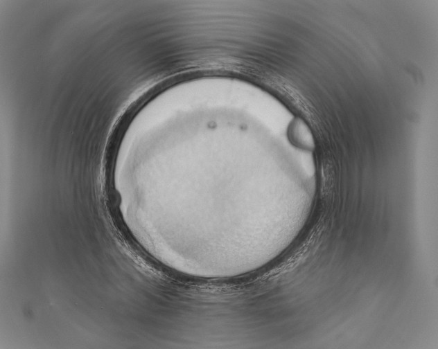 X0000110680780200907101126