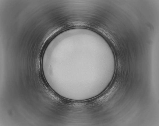 X0000110680782200907101126