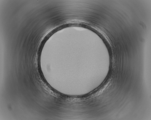 X0000110680783200907101126