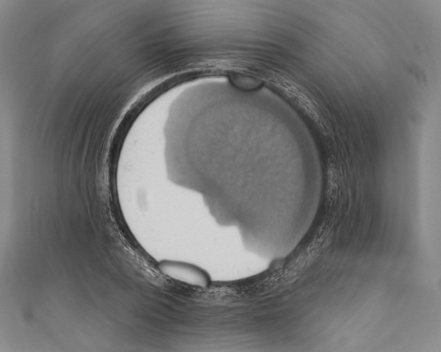 X0000110680784200907101126