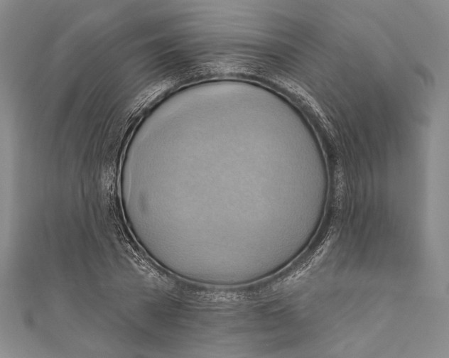 X0000110680785200907101126