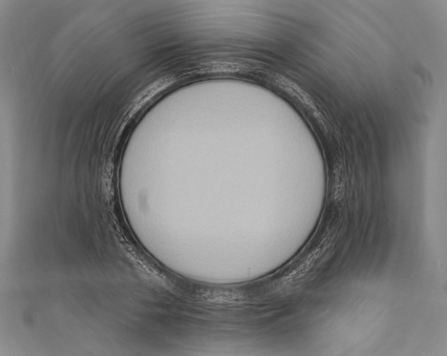 X0000110680786200907101126