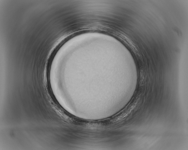 X0000110680788200907101126