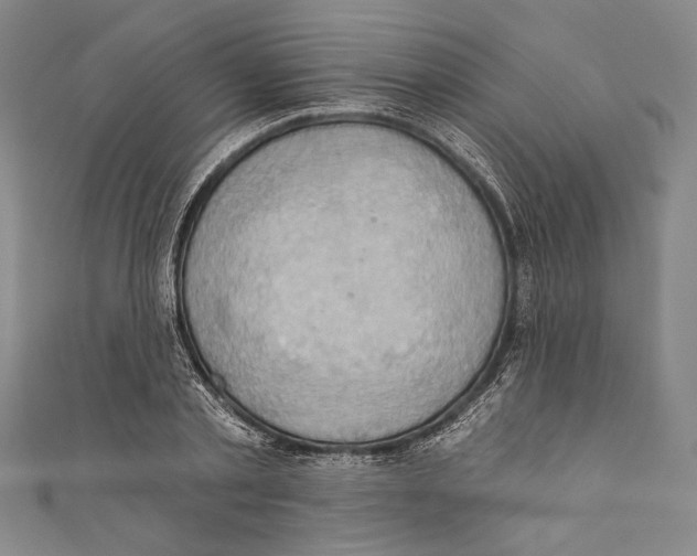 X0000110680789200907101126