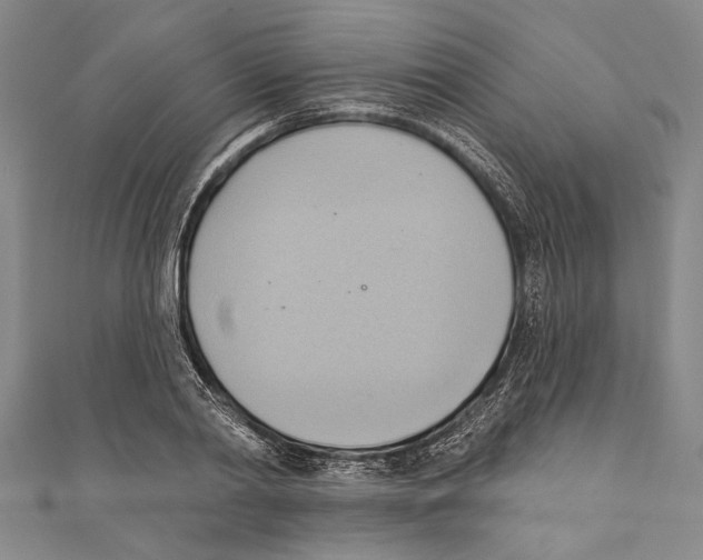 X0000110680790200907101126