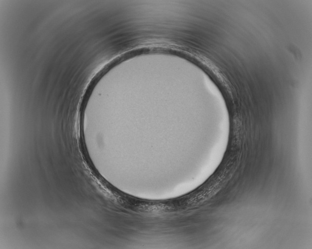 X0000110680791200907101126