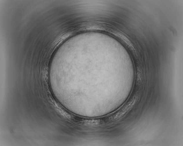 X0000110680793200907101126
