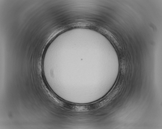 X0000110680794200907101126