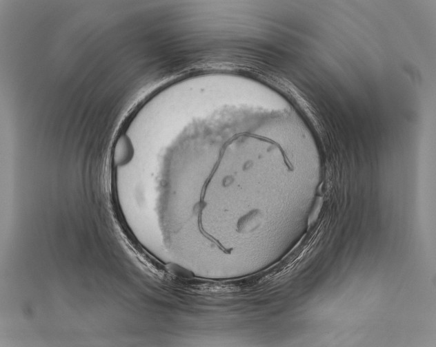 X0000110680795200907101126