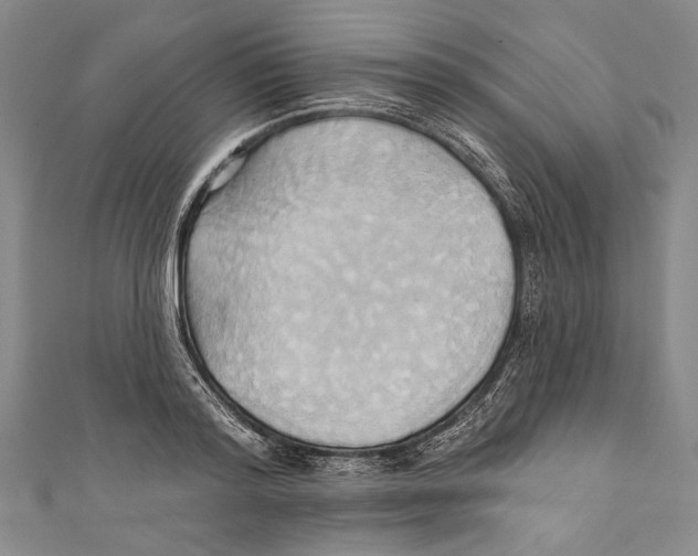 X0000110680796200907101126