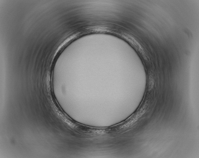 X0000110680798200907101126