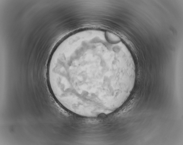 X0000110680799200907101126