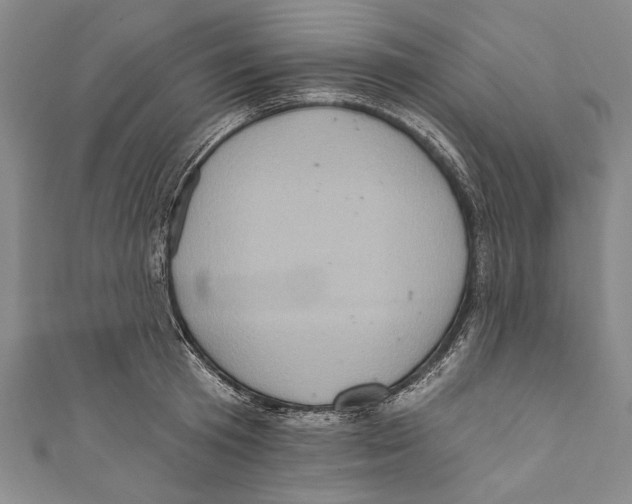 X0000110680801200907101126