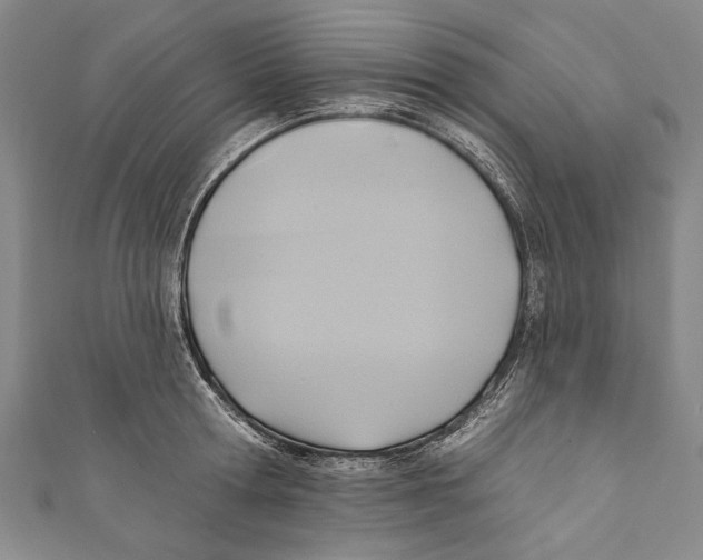 X0000110680802200907101126