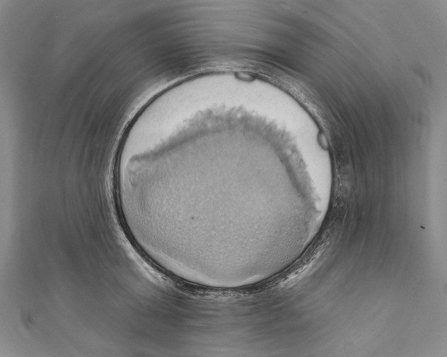 X0000110680803200907101126