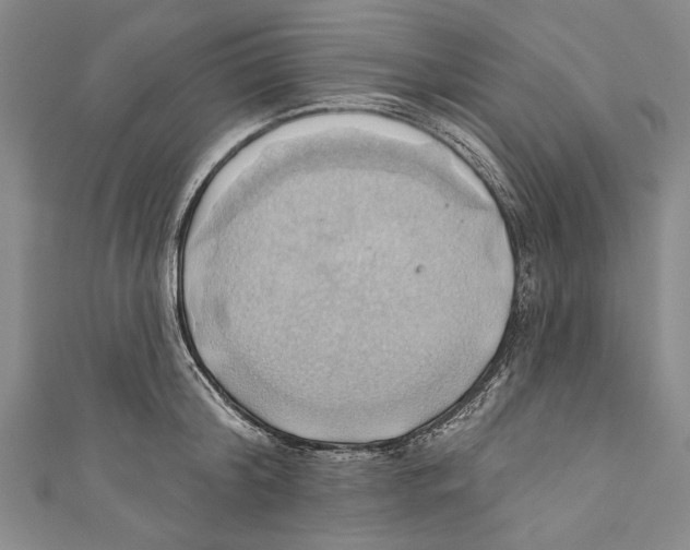 X0000110680804200907101126