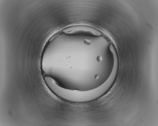 X0000110680805200907101126