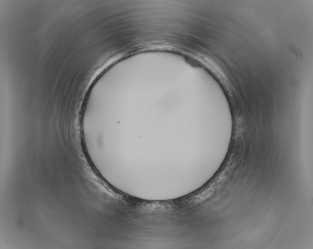 X0000110680806200907101126