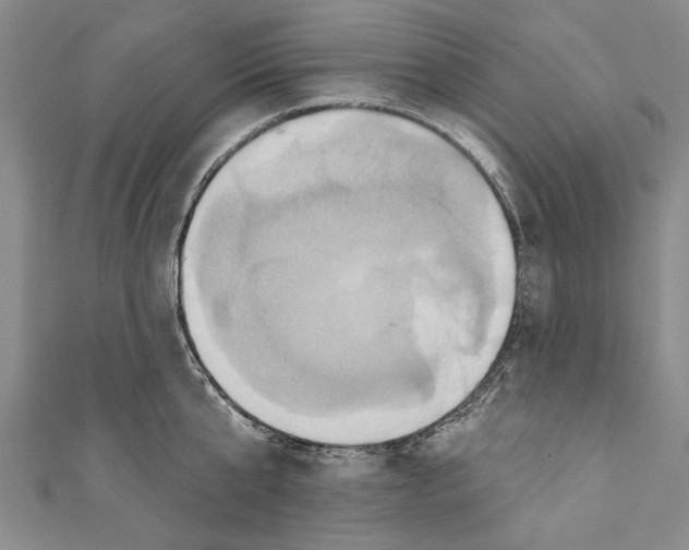 X0000110680807200907101126