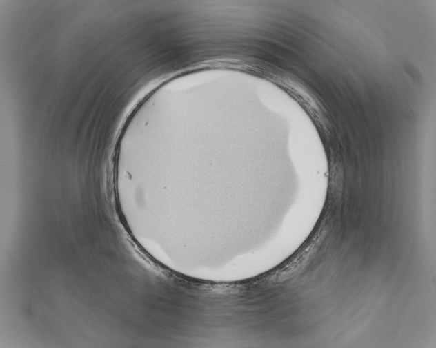 X0000110680808200907101126
