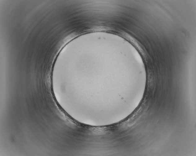X0000110680810200907101126