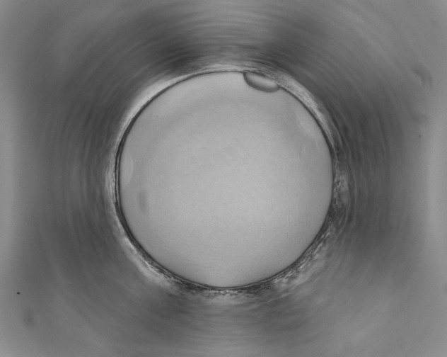 X0000110680811200907101126