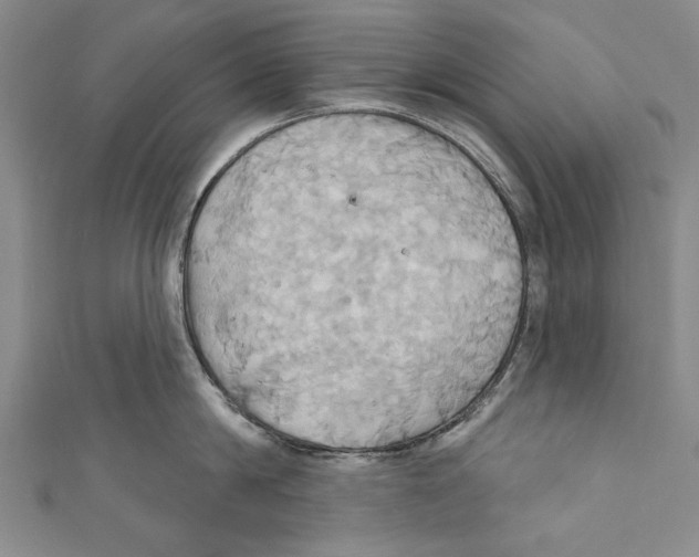 X0000110680814200907101126