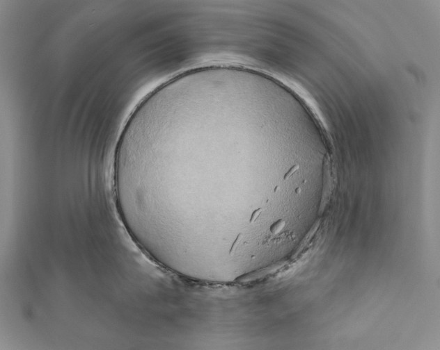 X0000110680815200907101126