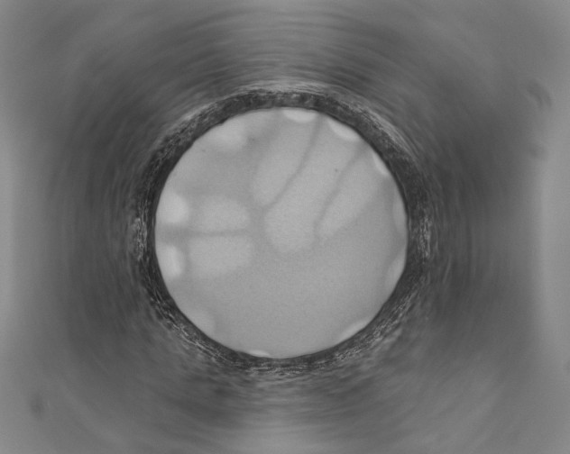 X0000110680821200907101125