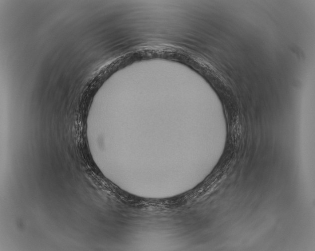 X0000110680822200907101125