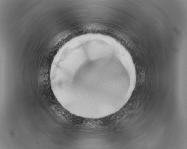 X0000110680824200907101125