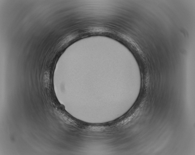 X0000110680825200907101125