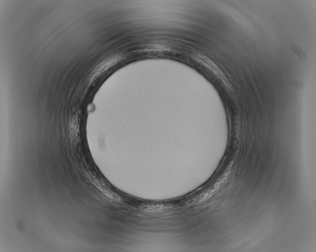 X0000110680826200907101125