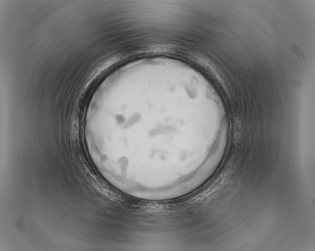 X0000110680827200907101125