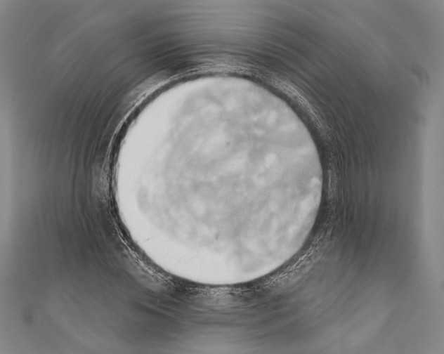 X0000110680828200907101125