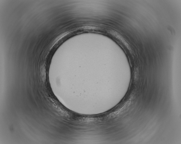 X0000110680829200907101125